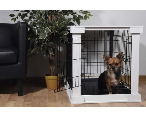 Hund in Hundebox mit Gittertür und weißem Rahmen neben Sessel und Zimmerpflanze