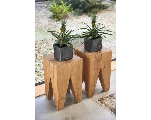 Zwei Ananaspflanzen in grauen Pflanzgefäßen auf hölzernen Beistelltischen