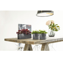 Zwei graue Pflanzgefäße und ein längliches Pflanzgefäß auf einem Holztisch mit Pflanzen