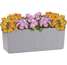 Blumenkasten Lechuza Balconera Stone Kunststoff 50x19x19 cm grau inkl. Erdbewässerungsystem und Pflanzeinsatz