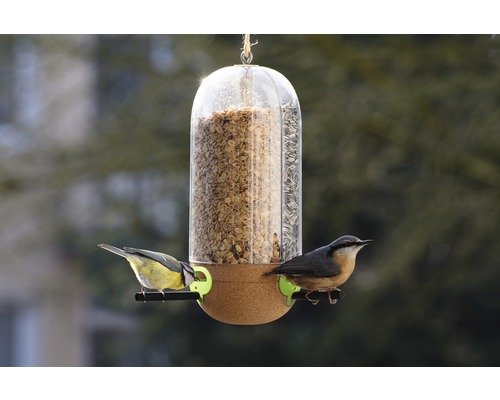 Vogelhaus mit Futter und zwei Vögeln