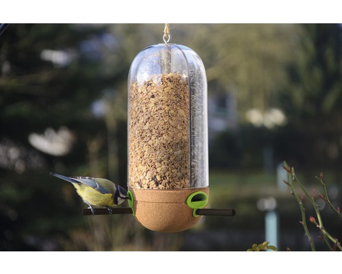 Vogel frisst an einem hängenden Vogelfutterspender mit durchsichtigem Behälter