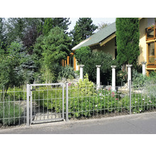 Metallzaun mit Tor vor einem Hausgarten