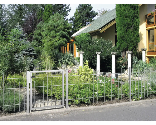 Gartenzaun mit Tor und Pflanzen vor einem Haus