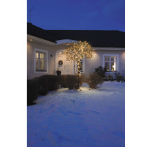 Hausfassade mit beleuchtetem Baum im Winter