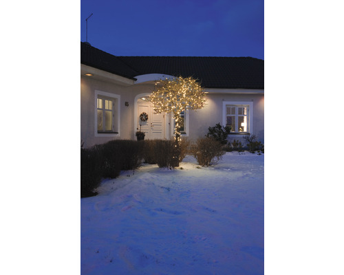 Hausfassade mit beleuchtetem Baum im Winter