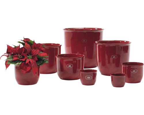 Gruppe aus Blumentöpfen verschiedener Größen