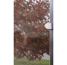 Zaunelement GroJa Belfort 90 x 180 cm klar-thumb-2