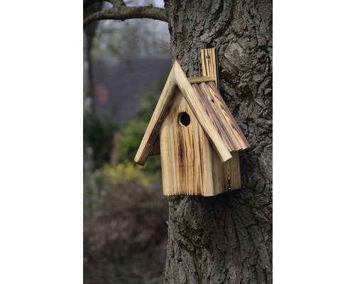 Holz-Vogelhaus am Baumstamm mit rundem Eingangsloch