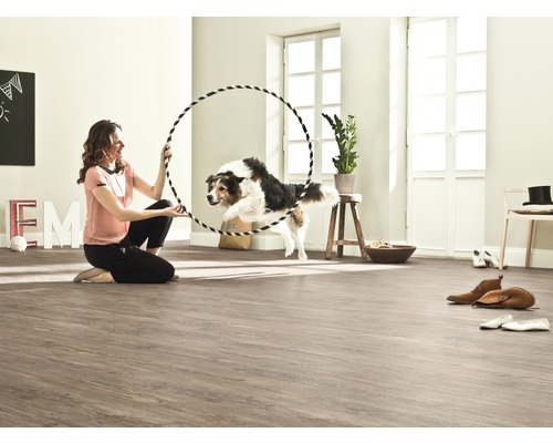 Heller Raum mit Laminatboden, Frau hält einen Reifen, durch den ein Hund springt