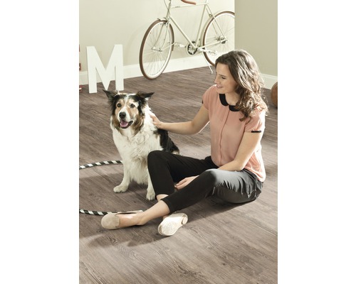 Frau streichelt Hund auf Laminatboden im Wohnzimmer. Im Hintergrund sind ein Fahrrad und Dekoration zu sehen.