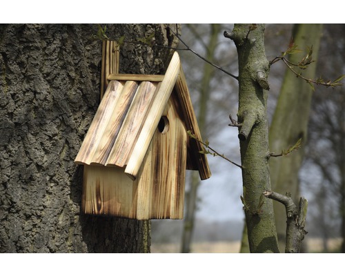 Holzvogelhaus zur Befestigung an einem Baum