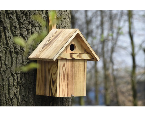 Holz-Vogelhaus an einem Baum befestigt