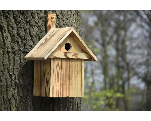 Holz Vogelhaus an einem Baum befestigt