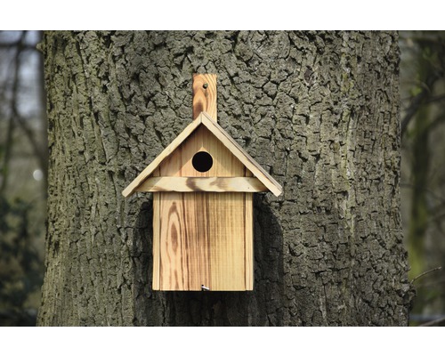 Holz-Vogelhaus an einem Baumstamm