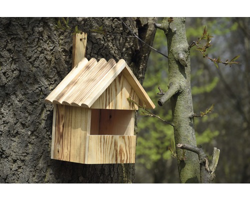 Hölzernes Vogelhaus an einem Baumstamm befestigt