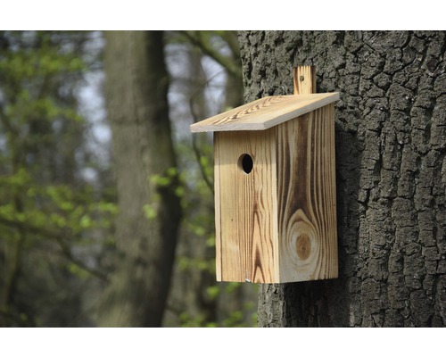 Holz Vogelhaus an einem Baum befestigt