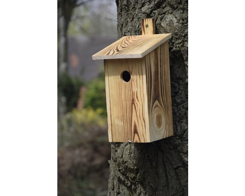 Holz Vogelhaus am Baum montiert