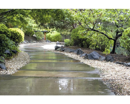 Weg im Garten mit Pflanzen und Steinen