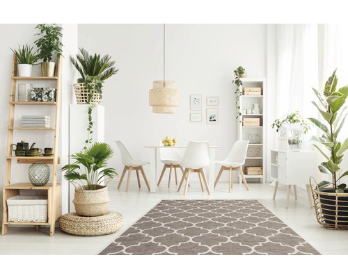 Helles Esszimmer mit Holztisch, Stühlen, Teppich und Pflanzen