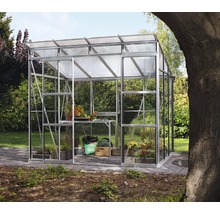 Gewächshaus Vitavia Playa 5900 Einscheibensicherheitsglas/ Hohlkammerplatten 258x229,4 cm Aluminium
