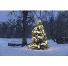 Beleuchteter Weihnachtsbaum im verschneiten Außenbereich