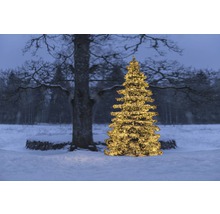 Geschmückter Weihnachtsbaum im verschneiten Garten