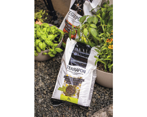 Ein Sack Terapon Blumenerde zwischen Basilikum und anderen Pflanzen