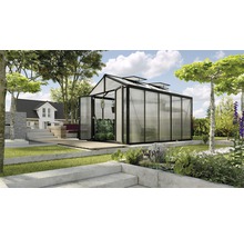 Gewächshaus im Garten mit geöffneter Tür und Pflanzen darin