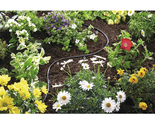 Garten mit Blumen und Bewässerungsschlauch
