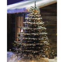 Schnee bedeckter Weihnachtsbaum mit Lichterkette vor einem Holzhaus.