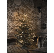 Weihnachtsbaum mit Beleuchtung vor einer Ziegelwand