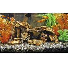 Dekoriertes Aquarium mit Fischen, Pflanzen und Steinbogen