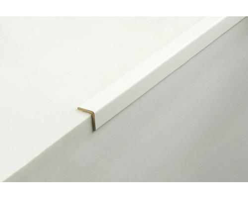 Eckschutzschiene aus Kunststoff