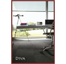 Büro mit Schreibtisch, Teleskop und grauem Teppichboden