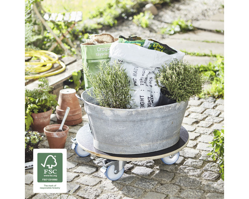 Rollbrett mit Pflanzen und Gartenzubehör im Außenbereich