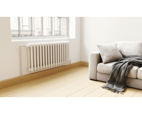 Wohnraum mit Heizkörper, Sofa und Fenster