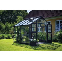 Gewächshaus JULIANA Premium 8,8 m² 3 mm Sicherheitsglas 296 x 296 cm anthrazit/schwarz