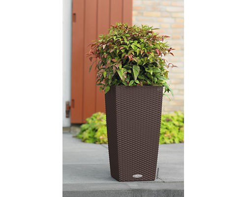 Hoher Pflanzkübel mit Pflanze auf einer Terrasse