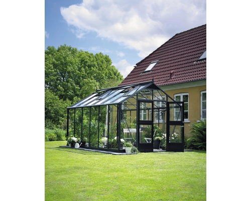 Gewächshaus JULIANA Premium 13 m² 3 mm Sicherheitsglas 296 x 439 cm anthrazit