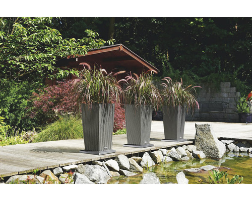 Drei Pflanzkübel mit Pflanzen am Teich im Garten.