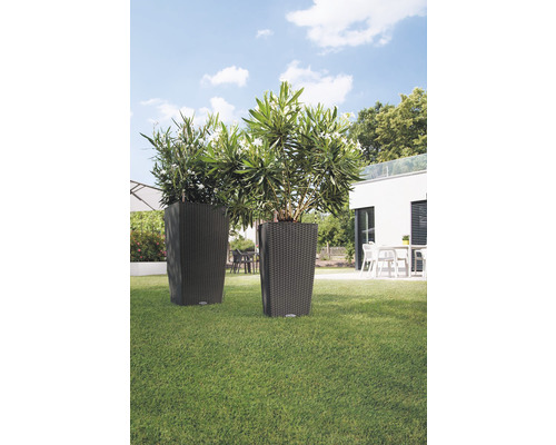 Zwei Pflanzkübel mit Pflanzen im Garten