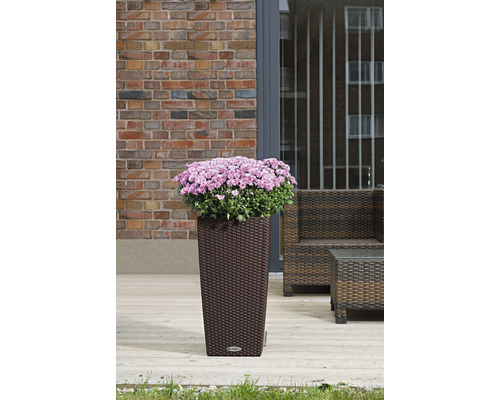 Blumentopf mit Blumen in einem Gartenbereich