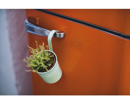 Eine Drosera Pflanze in einem Topf hängt an einem Türgriff.