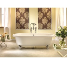Freistehende Badewanne mit Chromarmaturen und Löwenfußfüßen in einem Badezimmer.
