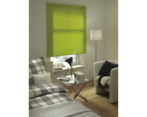 Helles Zimmer mit grünem Plissee am Fenster, Bett und Sessel