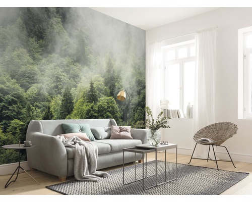 Wohnzimmer mit Fototapete, die einen Wald im Nebel zeigt