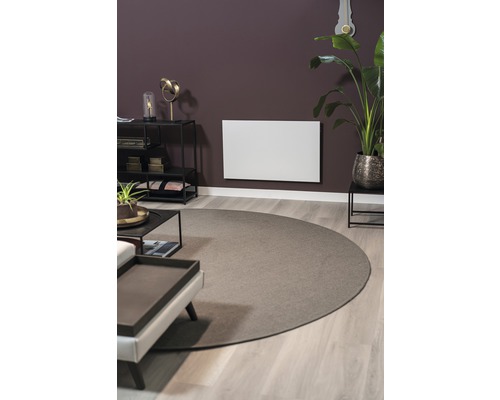 Wohnzimmer mit Heizpaneel an der Wand, Teppich und Möbeln.