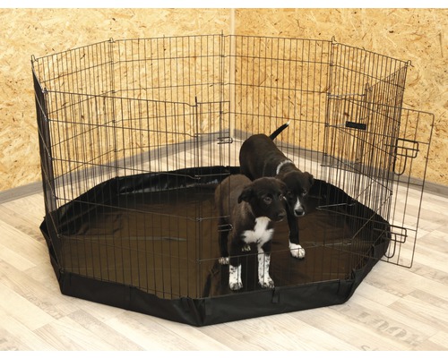 Laufstall mit Tür und zwei Welpen