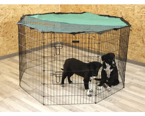 Draht Welpenauslauf mit Obernetz und zwei Welpen darin.